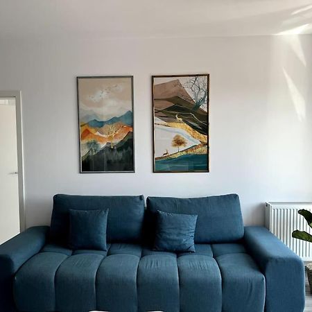 Seville Studio Cu Terasa & Vedere La Munte Брашов Екстер'єр фото